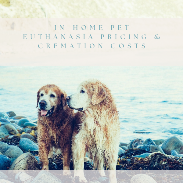 In-Home Pet Euthanasia Pricing & Cremation Costs