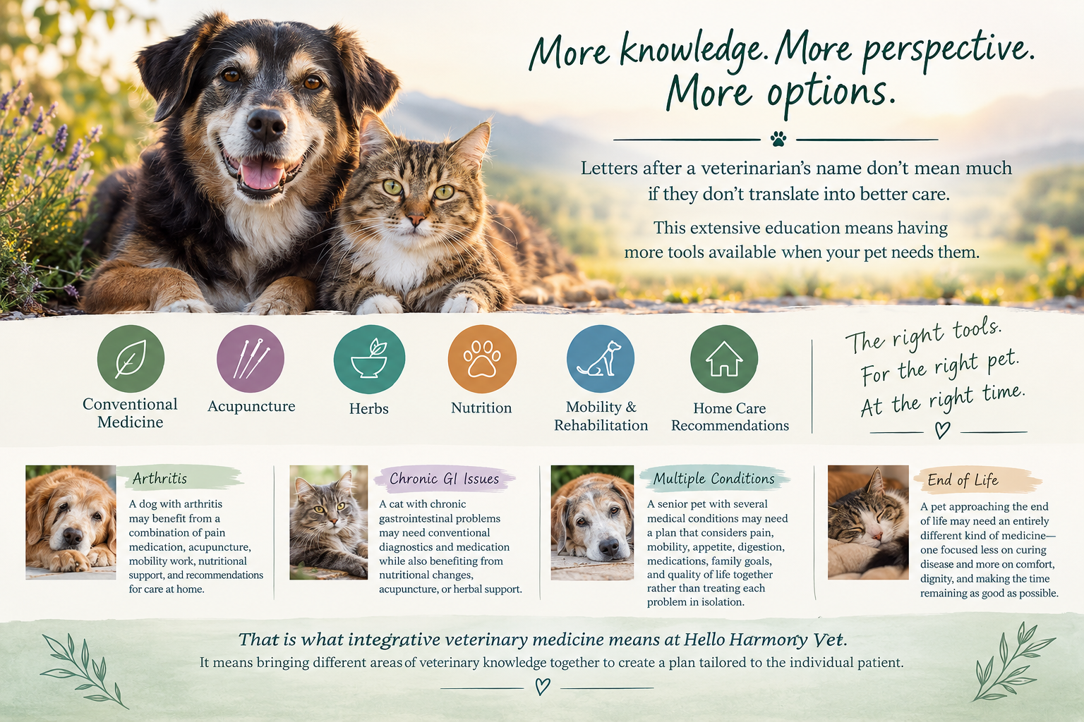 Dr. Nichollette Rider practices integrative holistic medicine to create tailored treatment plans for every pet, every time.